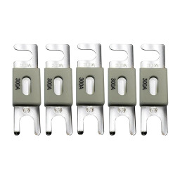 Запобіжник Victron Energy ANL-fuse 300A/80V (5 pc)